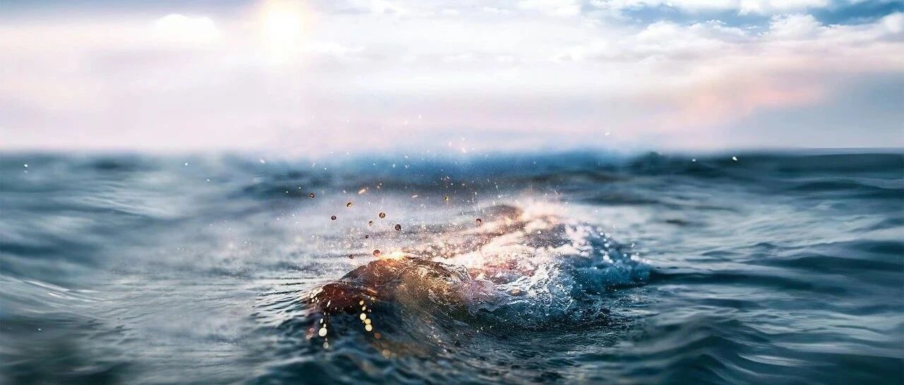 Science article on drivers of the record-breaking 2023 global marine heatwave by the SUSTech Zeng team source image
