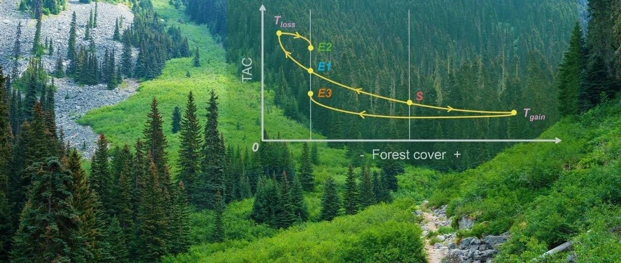 SUSTech Environmental Science Zeng team study on boreal forest resilience source image