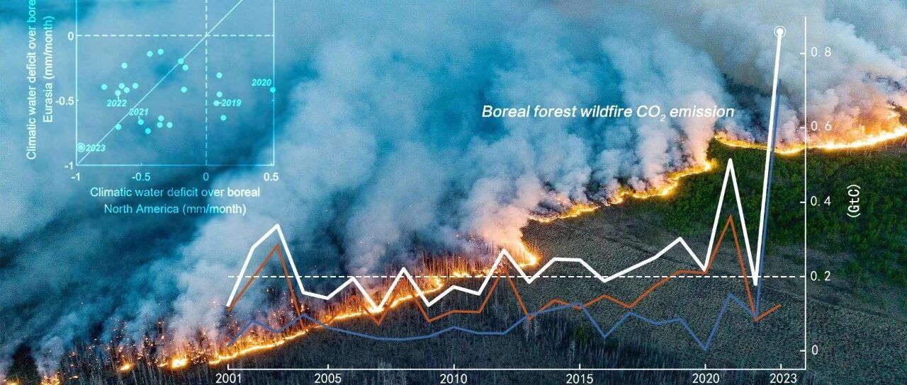 SUSTech Zeng team reveals extreme-climate-driven wildfire emissions across global northern coniferous forests source image