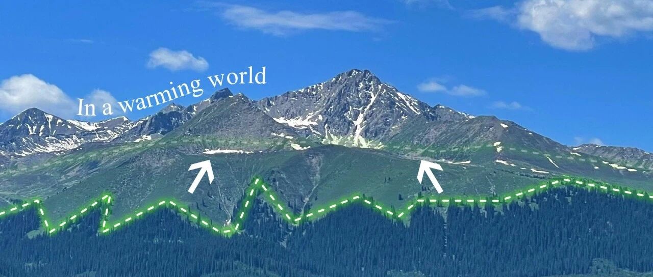 SUSTech Zeng team reveals global upslope shifts of alpine treelines source image