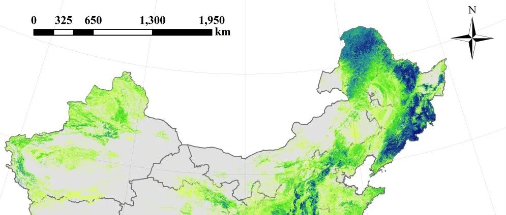 SUSTech Zeng team assesses China's forest carbon-sequestration potential source image