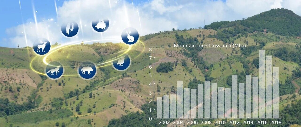 SUSTech Zeng team reveals mountain deforestation is seriously threatening biodiversity source image